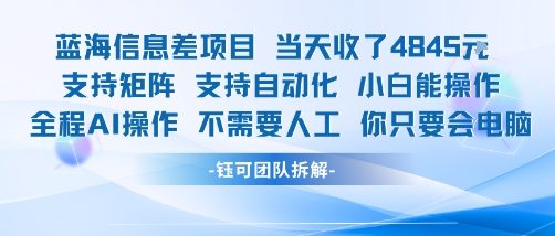 蓝海信息差项目当天收米1k+ 支持矩阵支持自动化小白能操作全程AI操作不需要人工你只要会电脑-理想项目库