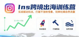 Ins跨境出海训练营，实战驱动玩法，打破不涨粉怪象，玩转社媒自然流量-理想项目库