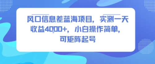 风口信息差蓝海项目，实测一天收益4k+，小白操作简单，可矩阵起号-理想项目库