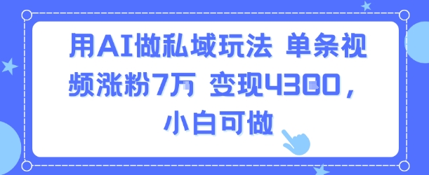用AI做私域玩法，单条视频涨粉7W变现4.3k，小白可做-理想项目库