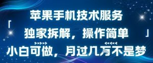 苹果手机技术服务，独家拆解，操作简单，小白可做，月过1W不是梦-理想项目库