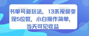 书单号新玩法，13条视频变现5位数，小白操作简单，当天可见收益-理想项目库