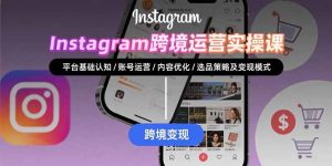 Instagram跨境运营实战：平台认知/账号运营/内容优化/选品策略及变现模式-理想项目库