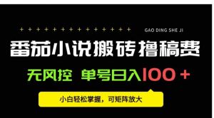 番茄小说创作人搬砖赚稿费，无风控单号日入100＋，小白轻松掌握，可矩…-理想项目库