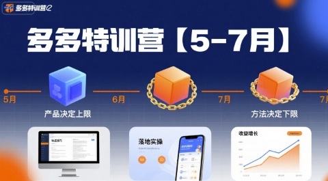 多多特训营【5-7月】产品决定上限，方法决定下限，各种玩法技巧落地实操-理想项目库