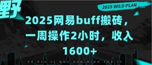 2025网易buff搬砖，一周操作2小时，收入1600+-理想项目库