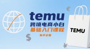 temu跨境电商小白基础入门课程，新手必看-理想项目库