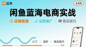 闲鱼蓝海电商实战，店铺搭建运营售后全流程-理想项目库