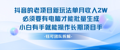 老项目新玩法单月收入2W小白有手就能操作长期项目-理想项目库