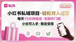 小红书私域项目 月入过W非常轻松 每天15分钟即可搞定，无任何操作门槛，小白可入手-理想项目库