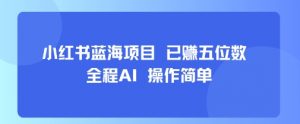 小红书蓝海项目，全程AI，操作简单，已挣五位数-理想项目库