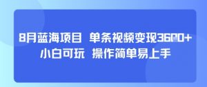 8月AI蓝海项目，单条视频变现1k+ 小白可玩 操作简单易上手-理想项目库