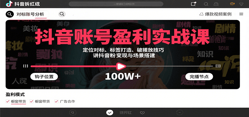 抖音账号盈利实战课，定位对标、标签打造、破播放技巧，讲涨粉变现与场景搭建-理想项目库