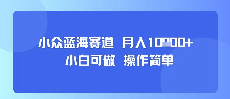小众蓝海赛道，小白可做，操作简单，每天30分钟，月入1W+-理想项目库