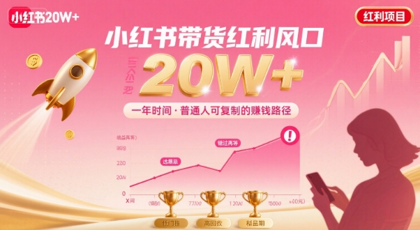 一年时间靠小红书带货项目年入20w+，最不能错的大红利项目-理想项目库