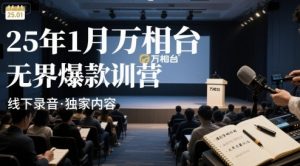 25年1月万相台无界爆款特训营线下录音-理想项目库