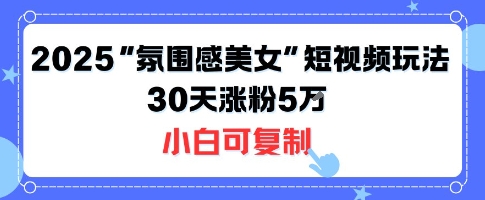 不露脸也能火！2025“氛围感美女”短视频玩法，30天涨粉5W小白可复制-理想项目库
