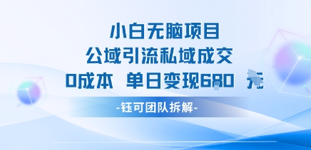小白无脑项目公域引流私域成交0成本单日变现680米-理想项目库