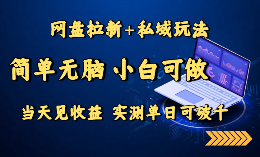 网盘拉新+私域玩法，简单无脑，小白可做，当天见收益，实测单日可破千-理想项目库
