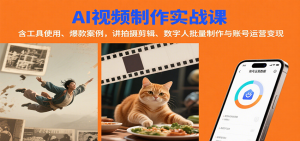 AI视频制作实战：含工具使用、爆款案例，讲拍摄剪辑、数字人批量制作与账号运营变现-理想项目库