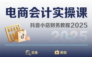 电商会计实操课-抖音小店财务教程2025-理想项目库