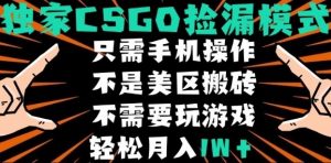 CSGO自动捡漏项目，最新独家玩法，不是美区搬砖，不需要了解和玩游戏，新手小白轻松月入1W+【揭秘】-理想项目库