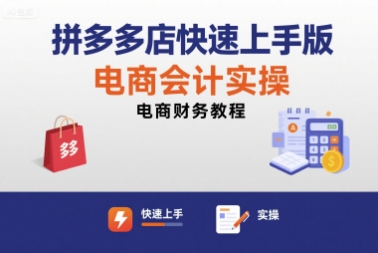 拼多多店快速上手版电商会计实操-电商财务教程-理想项目库