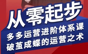 拼多多运营进阶系统课，从零起步，多多运营进阶体系课，破茧成蝶的运营之术-理想项目库