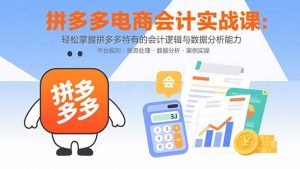 拼多多电商会计实战课：轻松掌握拼多多特有的会计逻辑与数据分析能力-理想项目库