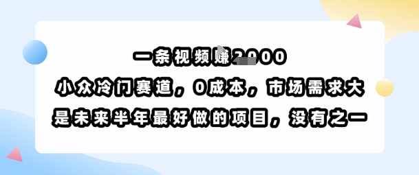 一条视频挣1k，小众冷门赛道，0成本，市场需求大，是未来半年最好做的项目，没有之一-理想项目库