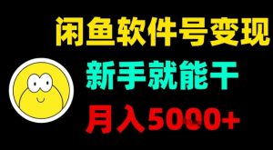 闲鱼软件号变现，新手就能干，月入5k+-理想项目库