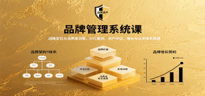 品牌管理系统课：战略定位与消费者洞察，DTC案例、资产评估，增长与公关体系搭建-理想项目库