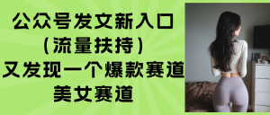 公众号发文新入口(流量扶持-理想项目库