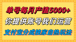 单月产值5000+，支付宝分成代运营，你提供账号坐等分钱，我们帮你运营-理想项目库