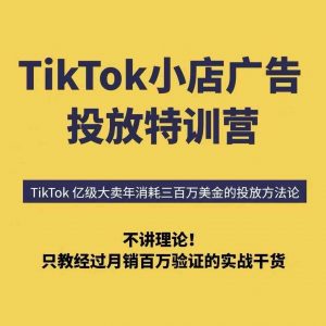 TikTok小店广告投放特训营，6天破局计划专治各种“投不动”，教你经过月销百万验证的实战干货-理想项目库