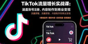 TikTok流量增长实战课：涵盖账号注册、流量获取、内容制作到商业变现-理想项目库