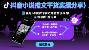 抖音小说推文干货实操分享，混剪+AI图片卡特效爆量全流程，0粉丝0门槛可做-理想项目库