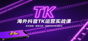 海外抖音TK运营实战课:账号搭建、精准引流、剪辑带货与私域转化-理想项目库