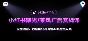 小红书聚光/乘风广告实战课:投放运营、数据优化与抖音本地推全攻略-理想项目库