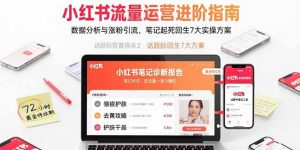 小红书流量运营进阶指南，数据分析与涨粉引流，笔记起死回生7大实操方案-理想项目库