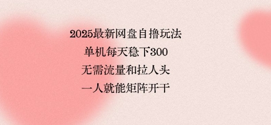 2025最新网盘自撸玩法，单机每天稳下3张，无需流量和拉人头，一个人就可轻松矩阵，全网独一份【揭秘】-理想项目库