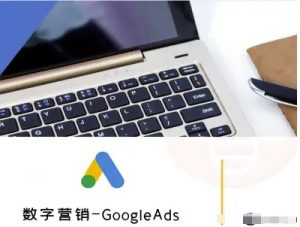 数字营销-GoogleAds-外贸跨境电商教程-理想项目库