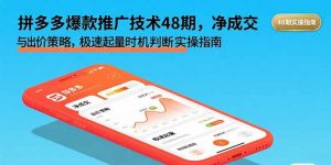 拼多多爆款推广技术48期，净成交与出价策略，极速起量时机判断实操指南-理想项目库