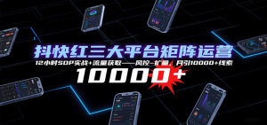 抖快红三大平台矩阵运营，12小时SOP实战+流量获取-风控-扩量，月引10000+线索-理想项目库