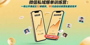 微信私域爆单训练营：一场公开课成交33单案例，99元自动训练营批量变现术-理想项目库