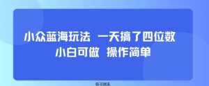 小众蓝海玩法 一天搞了四位数 小白可做 操作简单-理想项目库