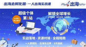 出海去孵化器，一人出海实战课，超级个体第1站，解锁全球增长-理想项目库