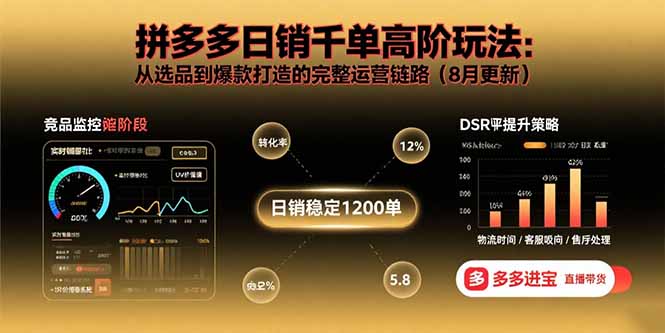 拼多多日销千单高阶玩法：从选品到爆款打造的完整运营链路(8月更新-理想项目库