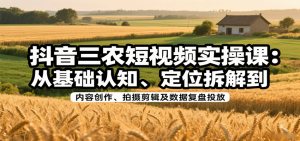 抖音三农短视频实操课：从基础认知、定位拆解到内容创作、拍摄剪辑及数据复盘投放-理想项目库