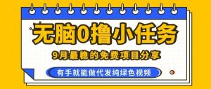 0学费0风险，2025风口项目，无脑免费撸，代发纯绿色视频，一部手机人人可做【揭秘】-理想项目库